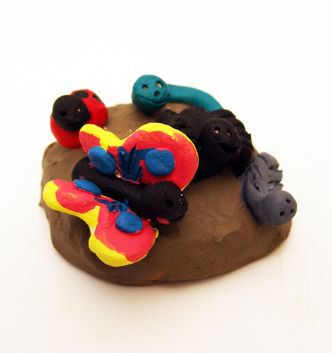 Bugs on a rock